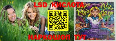 прущие грибы Абинск