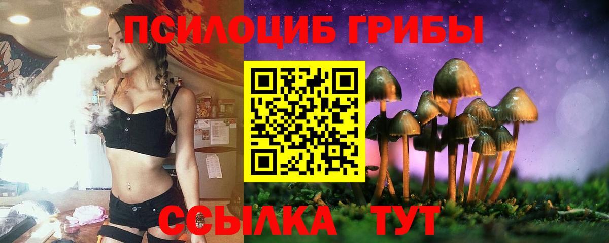 Галлюциногенные грибы GOLDEN TEACHER  Галлюциногенные грибы GOLDEN TEACHER  наркошоп  Вход с VPN  Алушта 