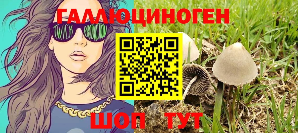 Галлюциногенные грибы мухоморы Алушта